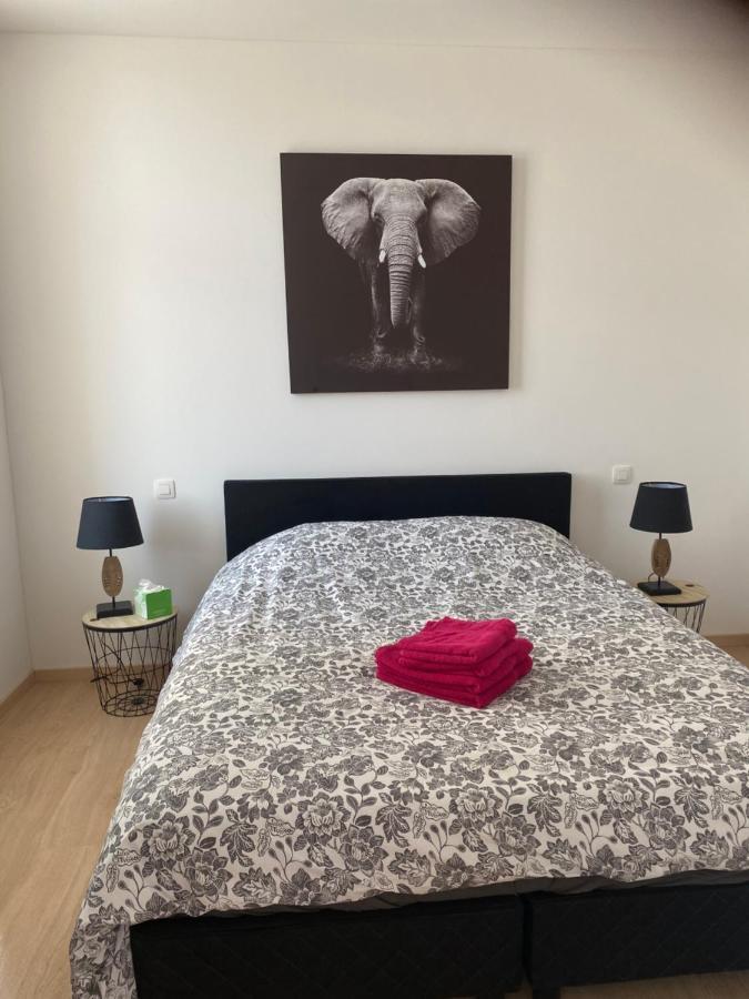 Les Appartements Du Parc Herman アンス エクステリア 写真